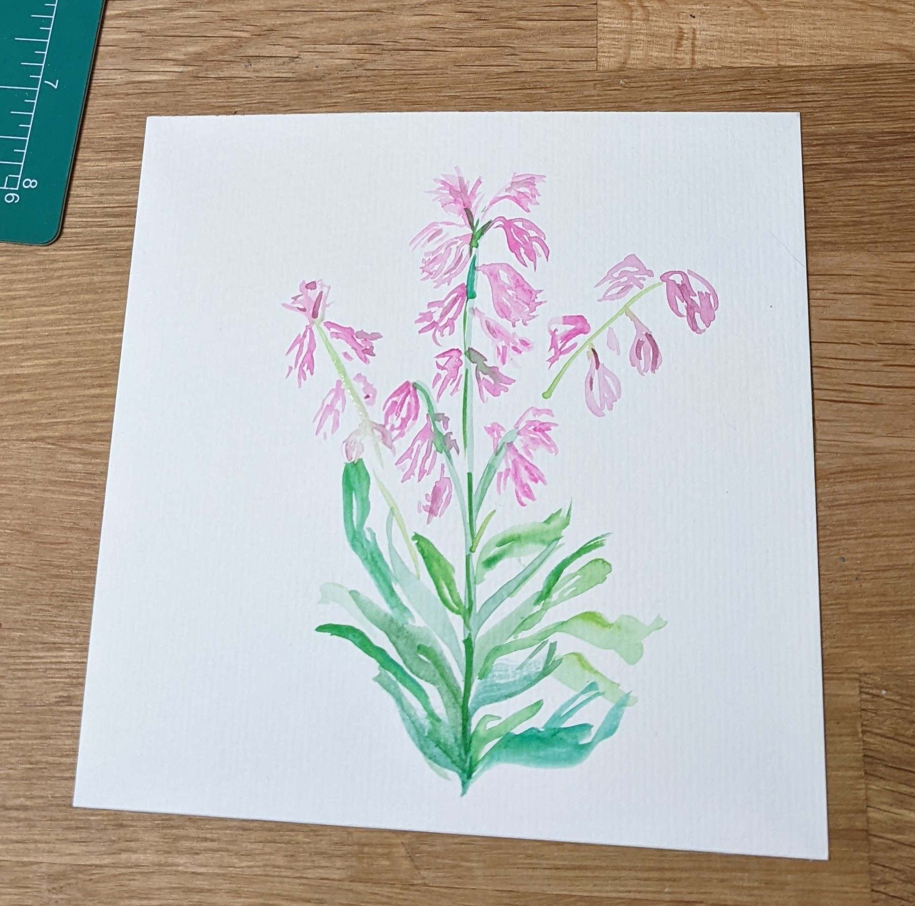 watercolor painting with pink flowers